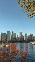 View of the skyscrapers in Downtown of Vancouver across from Granville Island video