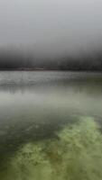 dimmig sjö omslaget förbi en tät skog skapande en mystisk atmosfär video