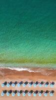 Top-down view of sandy beach with sun umbrellas and turquoise sea water video