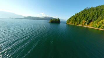 FPV Aerial view of colourful forest on mountain slopes and Harrison Lake. Canada video
