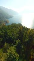 FPV Aerial view of colourful forest on mountain slopes and Harrison Lake. Canada video