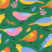 Cute birds seamless pattern. Cute colorful birds on grass. Green background. illustration. Flat design graphic. vector