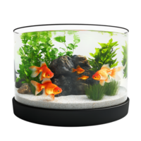 A fish tank with goldfish in it png
