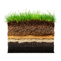 The soil layer is shown with grass and dirt png