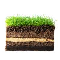 A piece of soil with grass growing on it png