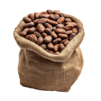 Sack of Cocoa Beans for Chocolate Production and Culinary Uses in Organic Farming and Gourmet Cooking png