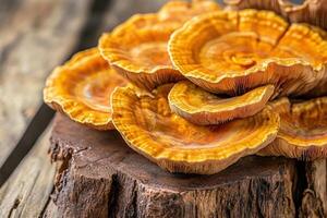 A pile of yellow mushrooms on a wooden surface photo