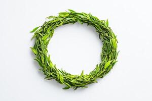 Green tea leaves arranged in an oval shape photo
