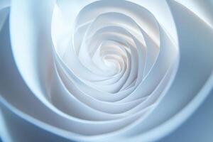 Abstract Swirling Layers of White Paper Rose photo