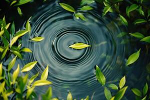 Green Leaf Floating on Rippling Water Surrounded by Plants photo