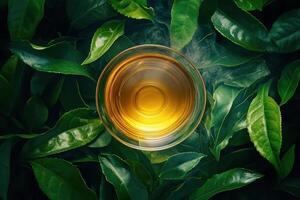 Steaming Green Tea in Glass Bowl Surrounded by Leaves photo