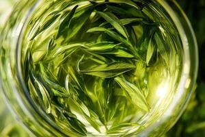 Green tea leaves steeped in a glass vessel photo