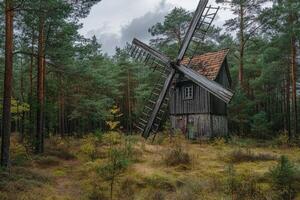 An old windmill in the middle of a forest photo