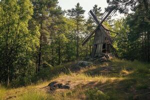 An old windmill in the forest photo