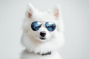 A white dog wearing sunglasses on a gray background photo