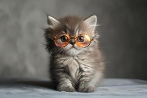 A kitten wearing glasses on a gray background photo
