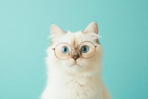 A white cat wearing glasses on a blue background photo