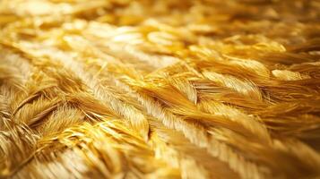 Golden wheat straw background photo