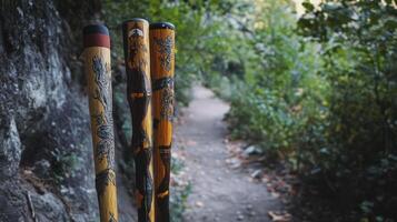 Two hiking poles with different designs on them photo