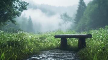 A bench sits in the middle of a field photo