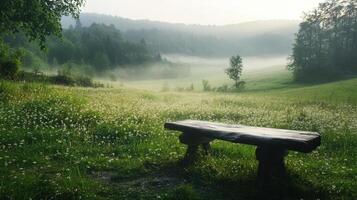 A bench sitting in a field with trees and grass photo