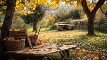 Autumn leaves on a bench in the park photo