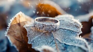 A ring sits on a leaf covered in frost photo