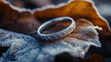 A wedding ring on a leaf photo