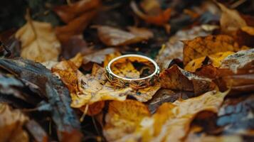 An engagement ring laying on the ground surrounded by autumn leaves photo