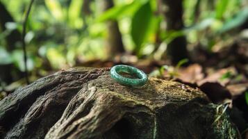 A ring sitting on top of a tree stump photo