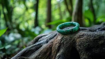 A green jade ring sitting on a tree stump photo