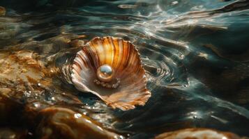 A shell with a pearl in the water photo