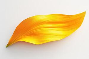 Golden Leaf Isolated On White Background photo