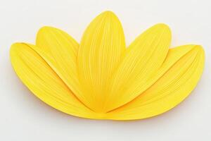 Vibrant Yellow Flower Petals Arranged Symmetrically photo