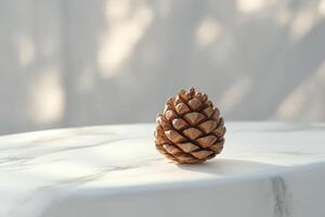 Single Pine Cone on White Marble Surface photo