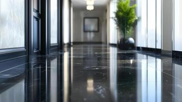 Elegant Hallway With Polished Black Marble Flooring photo