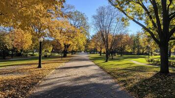 Autumnal Pathway Through Golden Trees And Green Grass photo