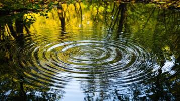 Water Ripples Reflecting Autumnal Treescape photo