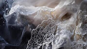 Delicate White Lace Fabric Draped Softly photo
