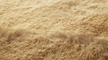 Close up view of light brown fluffy texture photo