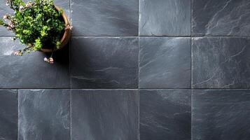 A potted plant rests on dark slate tile flooring photo