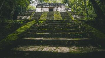 Moss Covered Mayan Temple Steps Jungle Ruins photo