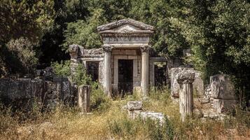 Ancient Stone Ruins Overgrown With Vegetation photo