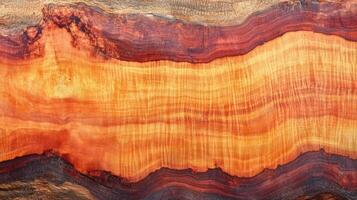Vivid Wood Grain Texture Shows Rich Color Variations photo