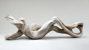 Abstract Driftwood Sculpture Organic Form Design photo