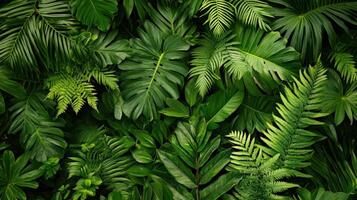 Tropical jungle background with green leaves photo
