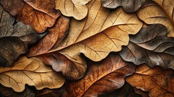 Intricate Carved Wooden Leaves Autumnal Hues photo