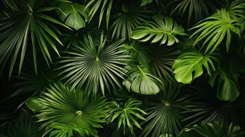 Tropical jungle background with green leaves photo