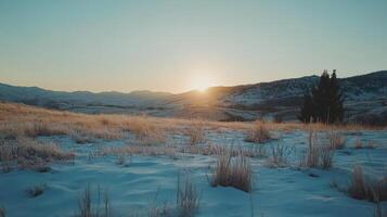 Frosty Winter Sunrise Over Rolling Hills photo