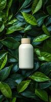 Blank cosmetics bottle mockup sitting on green leaves photo